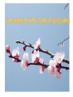 bài hát ngày đầu tiên đi học 