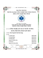 Tiểu luận Công nghệ sản xuất nước tương bằng phương pháp lên men