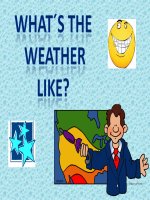 what is the weather like 