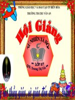 Vệ sinh thần kinh TNXH lớp 3 số 2 