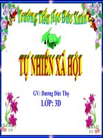 Không chơi các trò chơi nguy hiểm TNXH lớp 3 số 10 