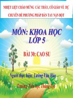 CHUYÊN đề PHƯƠNG PHÁP bàn TAY nặn bột bài 30 CAO SU 