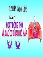 Hoạt động thở và cơ quan hô hấp tự nhiên và xã hội lớp 3 số 10 