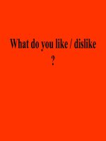 what do you like   dislike  