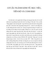 TIỂU LUẬN KINH tế CHÍNH TRỊ   cơ cấu NGÀNH KINH tế   mục TIÊU, TIẾN độ và CẢNH báo