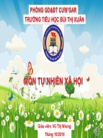 Hoạt động thần kinh TNXH lớp 3 số 2 