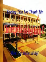 Vệ sinh cơ quan tuần hoàn TNXH lớp 3 số 12 