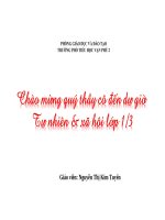 Thực hành phân tích và vẽ sơ đồ mối quan hệ họ hàng TNXH lớp 3 số 3 