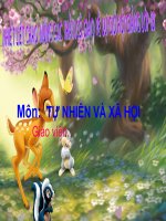 Hoạt động bài tiết nước tiểu TNXH lớp 3 số 8 