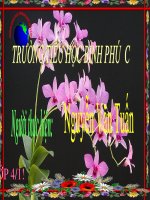 Luyện tập về câu kể ai là gì LTVC lớp 4 số 10 