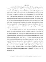 TIỂU LUẬN   THỰC HIỆN CHÍNH SÁCH AN SINH xã hội TRONG PHÁT TRIỂN KINH tế THỊ TRƯỜNG ĐỊNH HƯỚNG xã hội CHỦ NGHĨA ở nước TA HIỆN NAY