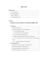 Khóa luận Bất cân xứng thông tin và sự tác động đến thị trường chứng khoán Việt Nam