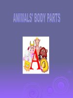 animals body parts 