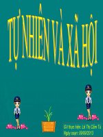 Hoạt động bài tiết nước tiểu TNXH lớp 3 số 7 