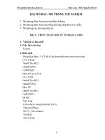 Thí nghiệm công nghệ sinh học phân tử