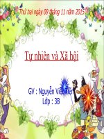 Vệ sinh cơ quan bài tiết nước tiểu TNXH lớp 3 số 1 