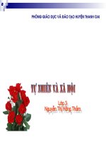 Hoạt động bài tiết nước tiểu TNXH lớp 3 số 9 