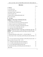 Đề tài Đổi mới tổ chức và hoạt động của Hội đồng nhân dân cấp tỉnh