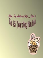 Hoạt động bài tiết nước tiểu TNXH lớp 3 số 6 