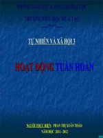 Hoạt động tuần hoàn TNXH lớp 3 số 8 