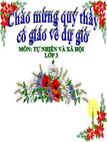 Một số hoạt động ở trường (tiếp theo) TNXH lớp 3 số 8 