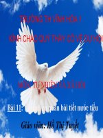 Vệ sinh cơ quan bài tiết nước tiểu TNXH lớp 3 số 4 