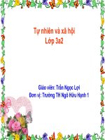 Phòng bệnh tim mạch TNXH lớp 3 số 1 