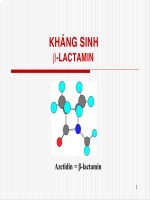 Bài Giảng Kháng Sinh B-Lactamin