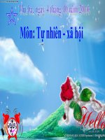 Phòng bệnh tim mạch TNXH lớp 3 số 5 