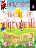 Hoạt động thở và cơ quan hô hấp tự nhiên và xã hội lớp 3 số 7 