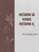 Bài Giảng Thuốc Kháng Histamin H1 - Ths Mai Phương Thanh