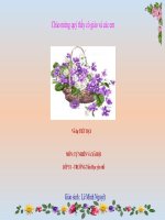 Các thế hệ trong một gia đình TNXH lớp 3 số 2 