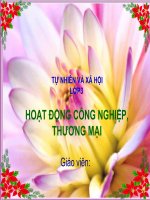 Hoạt động công nghiệp, thương mại TNXH lớp 3 số 1 