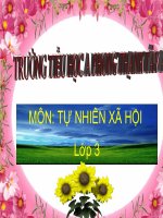 Hoạt động tuần hoàn TNXH lớp 3 số 4 