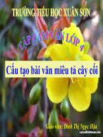 CẤU tạo bài văn MIÊU tả cây cối 