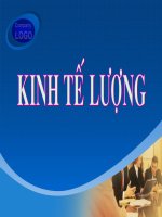 bài giảng kinh tế lượng chương 1 mô hình hồi quy hai biến   một vài ý tưởng cơ bản 