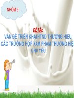 ĐỀ TÀI:  VẤN ĐỀ TRIỂN KHAI HTND THƯƠNG HIỆU. CÁC TRƯỜNG HỢP XÂM PHẠM THƯƠNG HIỆU CHỦ YẾU