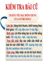 Bài 2  nhiệm vụ của sinh học  đại cương về giới thực vật   sinh học 6 
