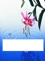 Bài 5  nguyên tố hoá học 1 