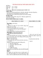 Kế hoạch bài dạy môn khoa học lớp 4 