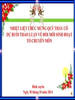 Thảo Luận Về Đổi Mới Sinh Hoạt Tổ Chuyên Môn