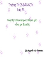 Sinh học 6 bài 16 thân TO RA DO đâu 