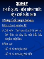Bài giảng kinh tế quốc tế  giảng viên hoàng thị chính chương IV thuế quan 