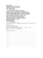 Luận văn Lên men rượu vang xoài