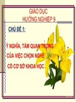 Chủ đề 1  ý nghĩa, tầm quan trọng của việc chọn nghề có cơ sở khoa học 