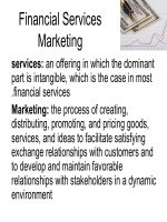 Financial Services Marketing