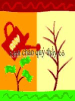 Bài 1  thế giới động vật đa dạng, phong phú 1 