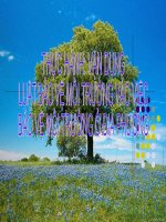 Bài giảng sinh học 9 thực hành vận dụng luật bảo vệ môi trường (7) 