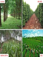 Bài 7  các nhân tố ảnh hưởng đến sự phát triển và phân bố nông nghiệp 