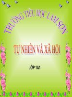 Bài 13  công việc ở nhà